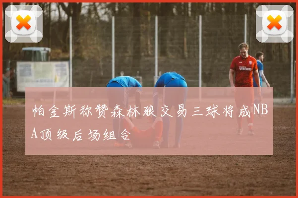 帕金斯称赞森林狼交易三球将成NBA顶级后场组合